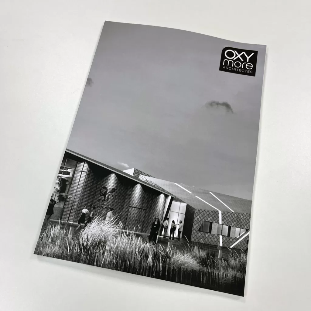 Couverture du Book Oxymore